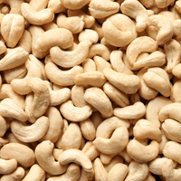 Castanha de Caju Torrada e Salgada W1 1kg - Natural Nuts