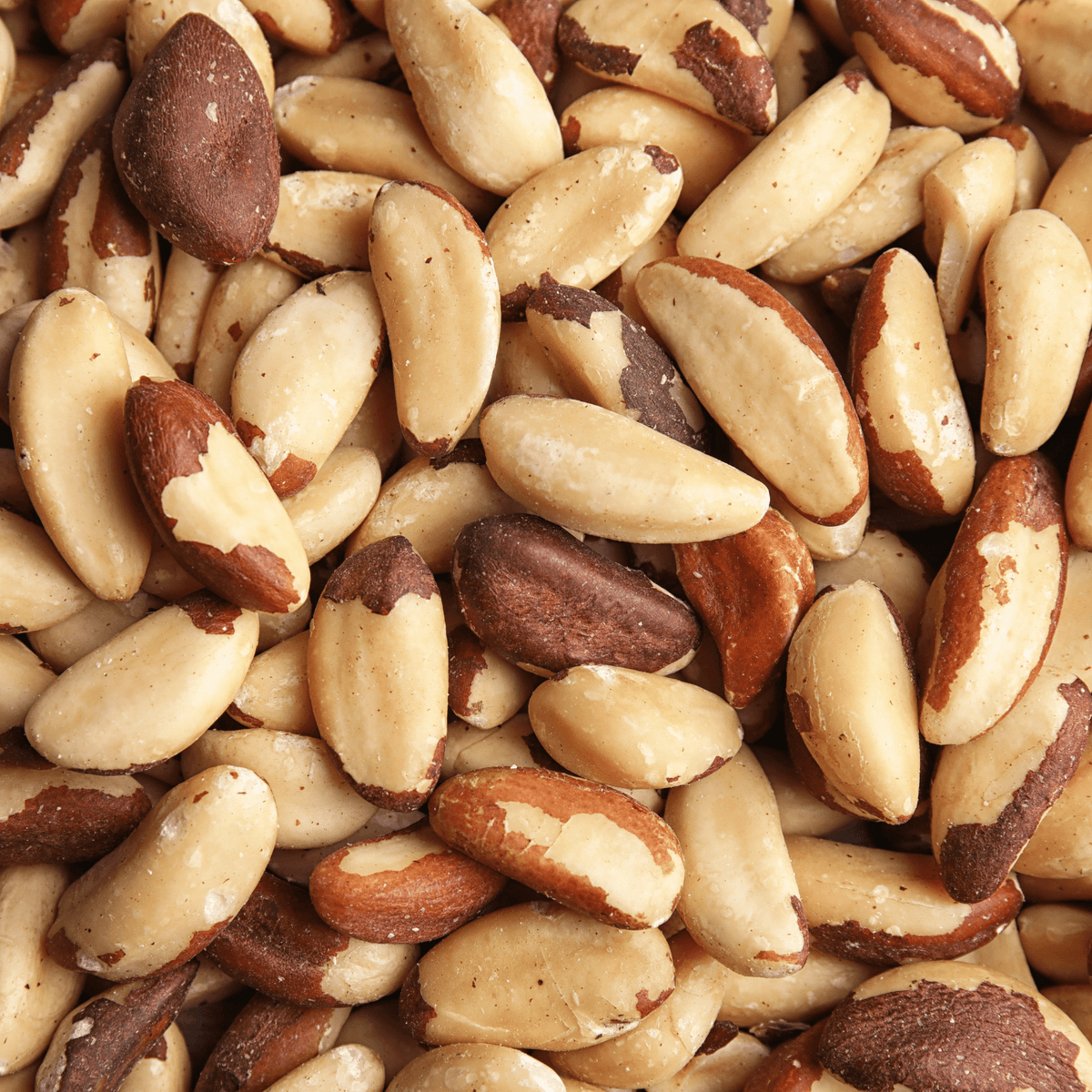 Castanha do Pará a granel - Natural Nuts