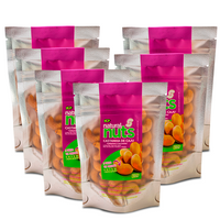 Kit 6x Castanhas de Caju Torrada e Salgada Ziplock 100g
