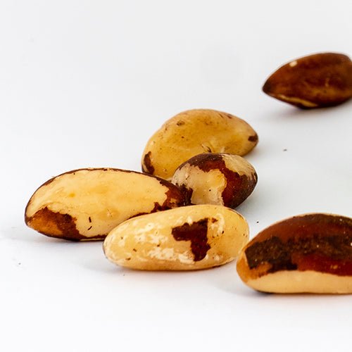 Castanha do Pará | Ziplock 100g - Natural Nuts